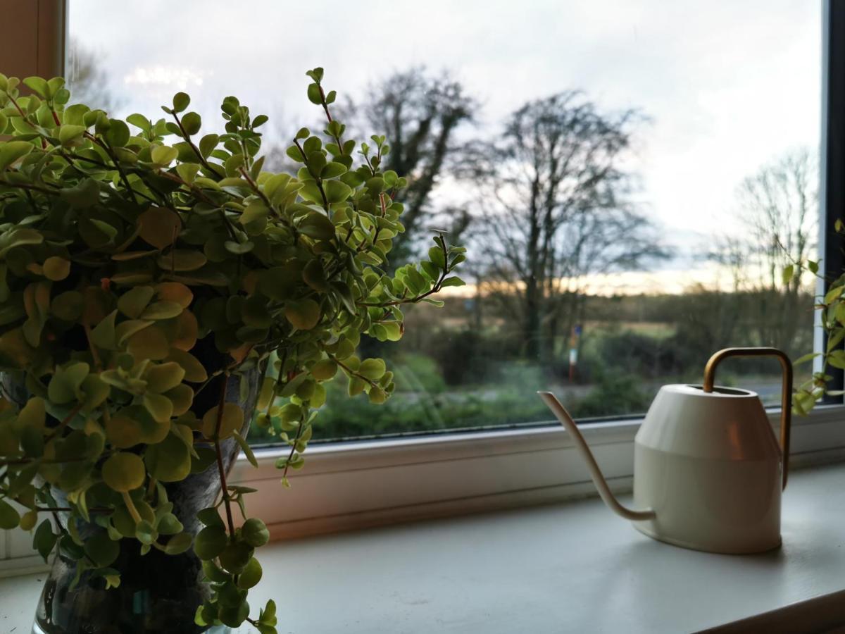 Redbrook Farm Bnb - Gateway To The New Forest Fordingbridge Kültér fotó