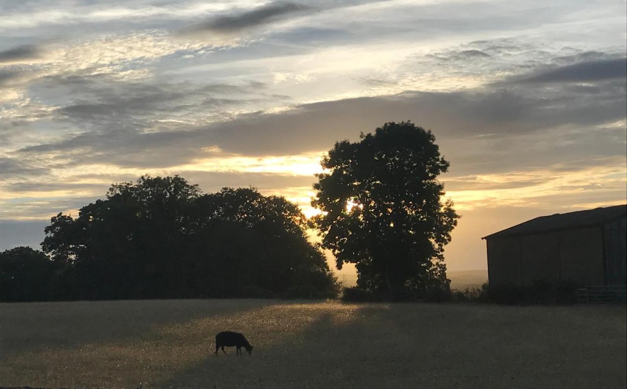 Redbrook Farm Bnb - Gateway To The New Forest Fordingbridge Kültér fotó