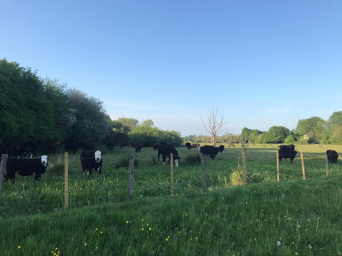 Redbrook Farm Bnb - Gateway To The New Forest Fordingbridge Kültér fotó