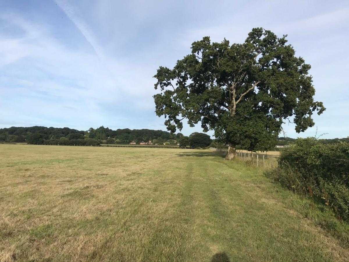 Redbrook Farm Bnb - Gateway To The New Forest Fordingbridge Kültér fotó