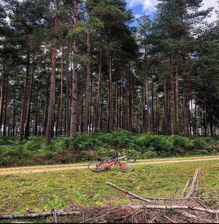Redbrook Farm Bnb - Gateway To The New Forest Fordingbridge Kültér fotó