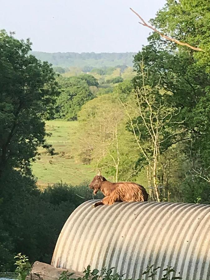 Redbrook Farm Bnb - Gateway To The New Forest Fordingbridge Kültér fotó