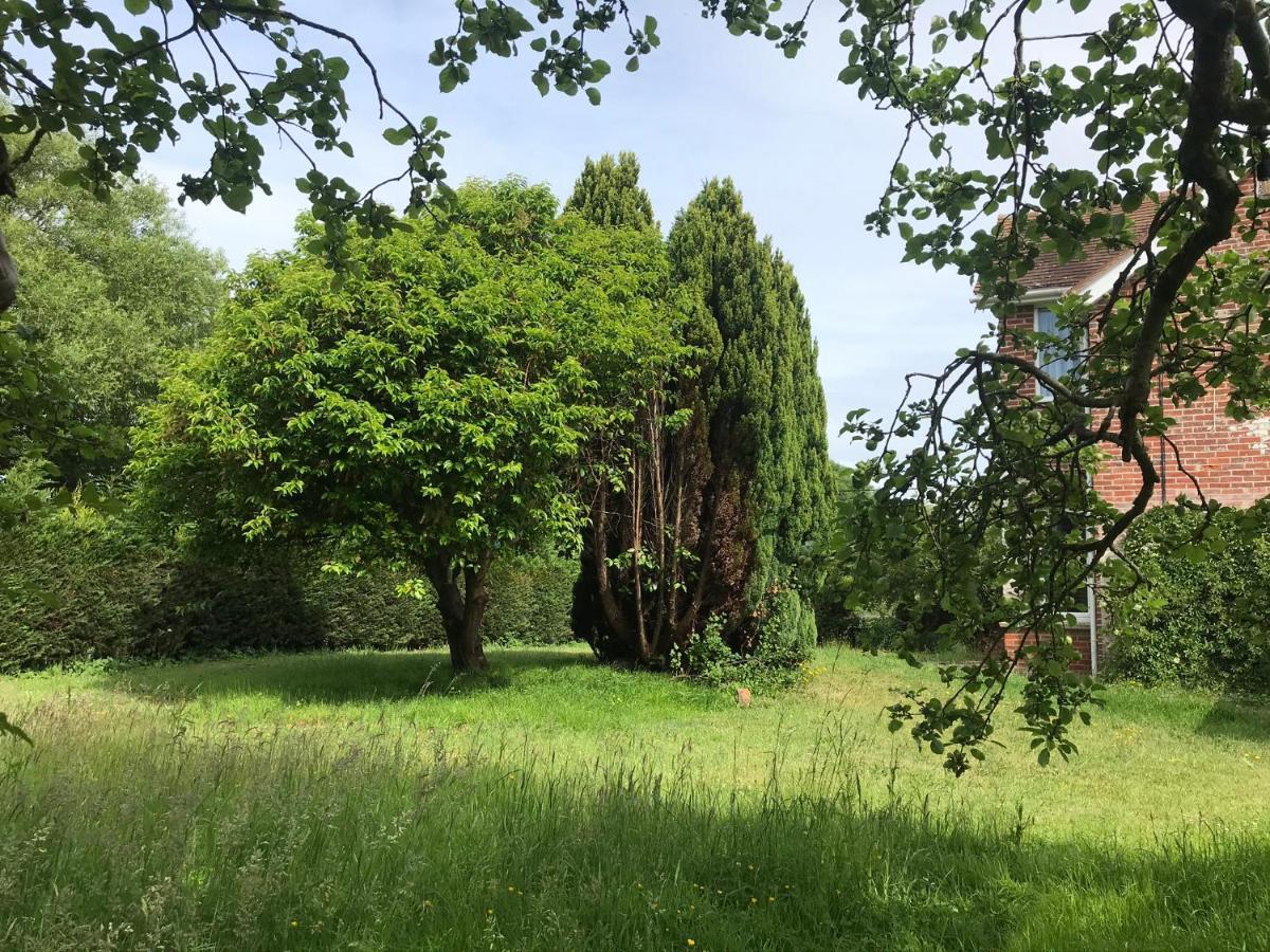 Redbrook Farm Bnb - Gateway To The New Forest Fordingbridge Kültér fotó